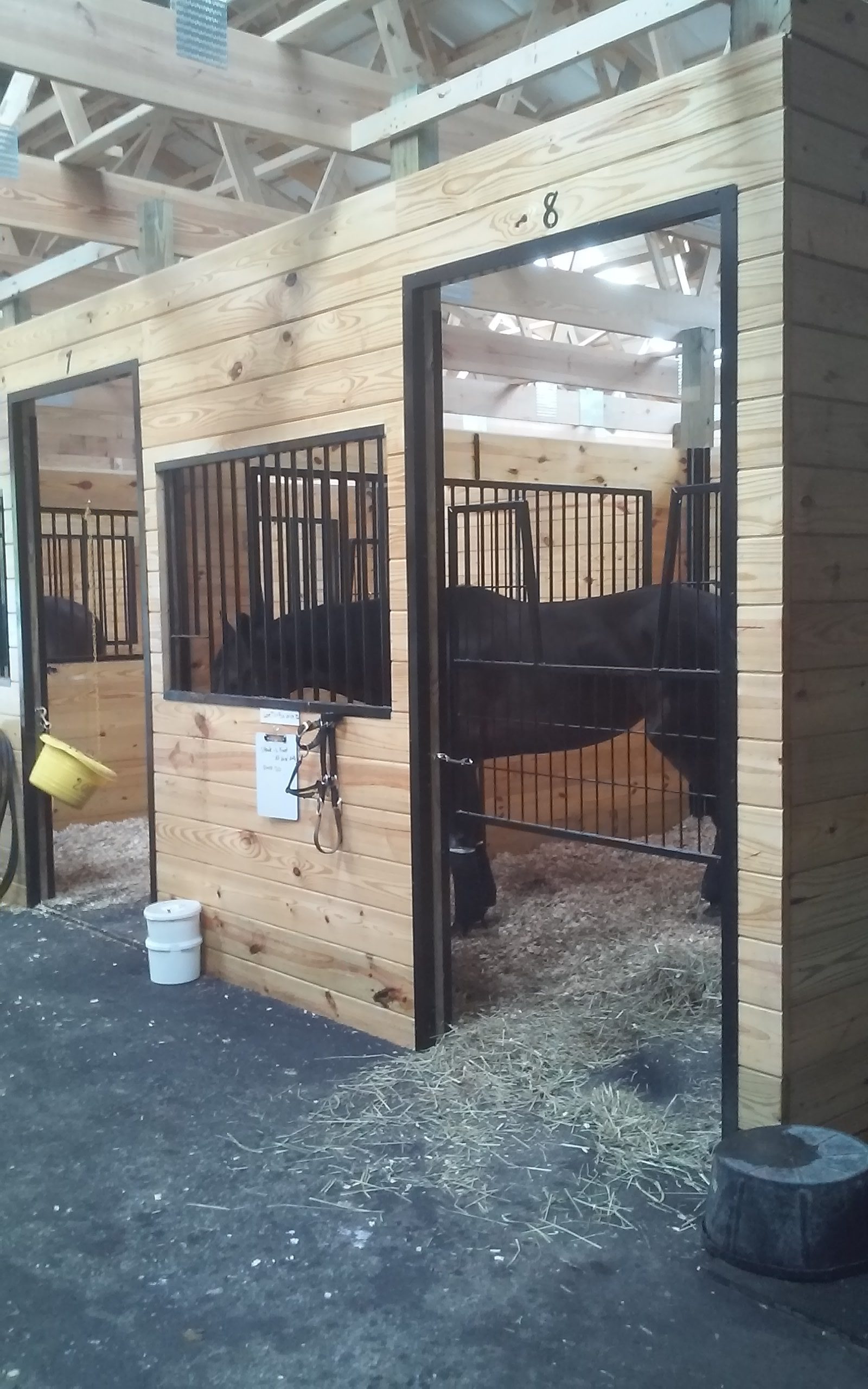 Standard Stalls with Dark Horses
