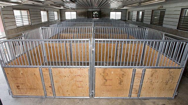 19++ Portable horse box stalls ideas