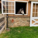 exterior-barn-doors21