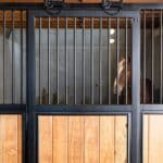 custom-horse-stalls-christiana4