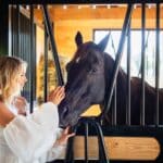 custom-horse-stalls-farm-on-main15