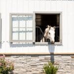 milford-barn-horse-stalls13