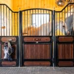 milford-barn-horse-stalls3